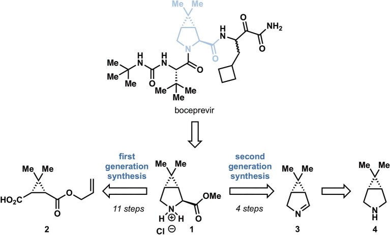One-pot chemoenzymatic syntheses of non-canonical amino acids.