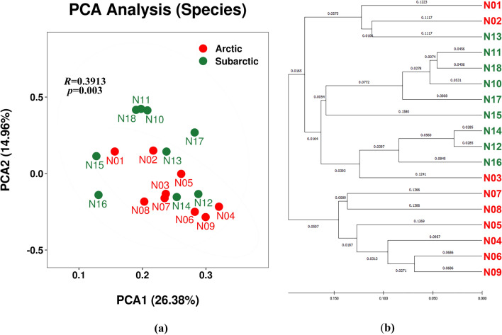 Bacterial phylotypes associated with rock-dwelling <i>Umbilicaria</i> Lichens from Arctic/Subarctic areas in North America and Northern Europe.
