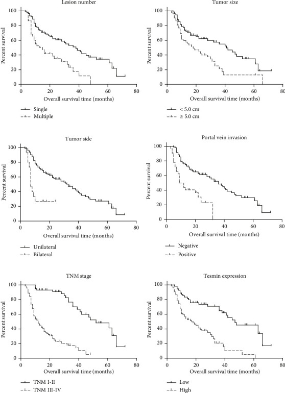 Clinical Significance and Functional Insights of Tesmin in Hepatocellular Carcinoma.