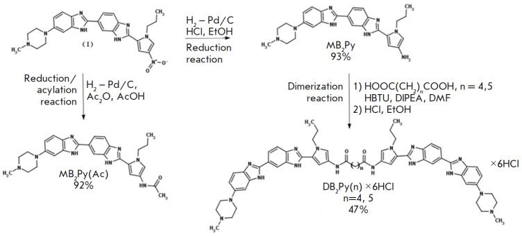 Dimeric Bis-Benzimidazole-Pyrroles DB2Py(n) - AT-Site-Specific Ligands: Synthesis, Physicochemical Analysis, and Biological Activity.