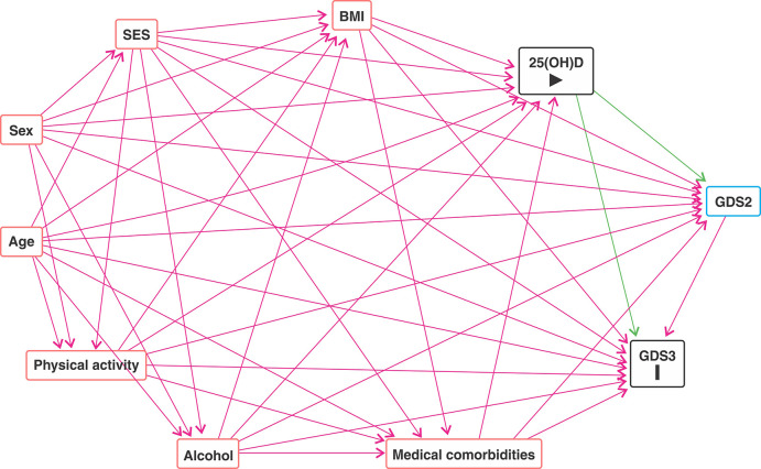 Vitamin D serum concentration is prospectively associated with depressive symptoms in the EpiFloripa Aging Cohort Study: a structural equation modeling approach.