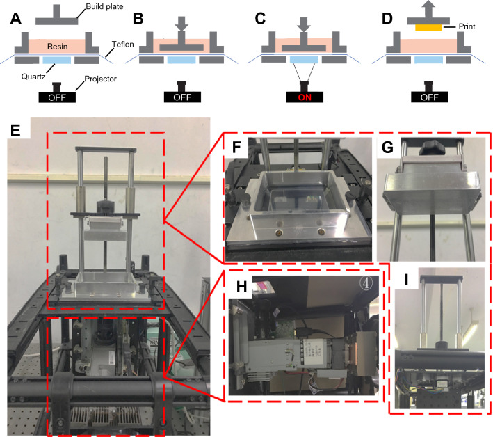 A 4D printed self-assembling PEGDA microscaffold fabricated by digital light processing for arthroscopic articular cartilage tissue engineering.