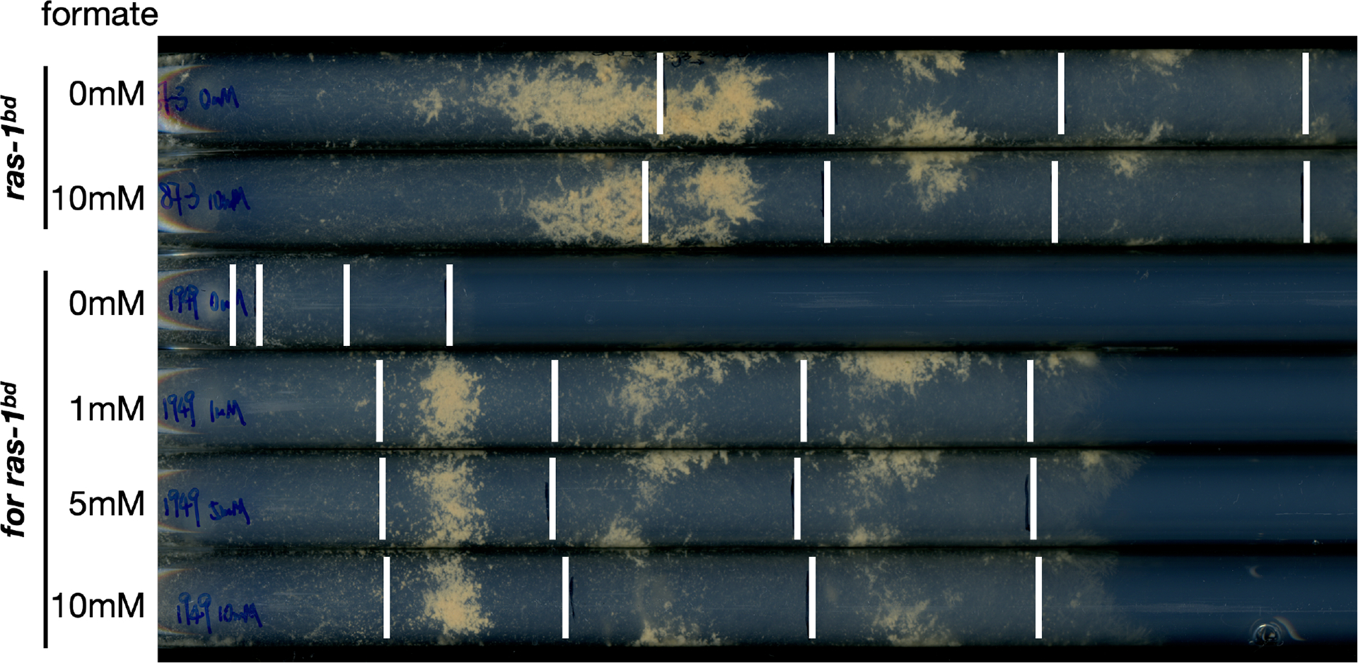Abstract Image