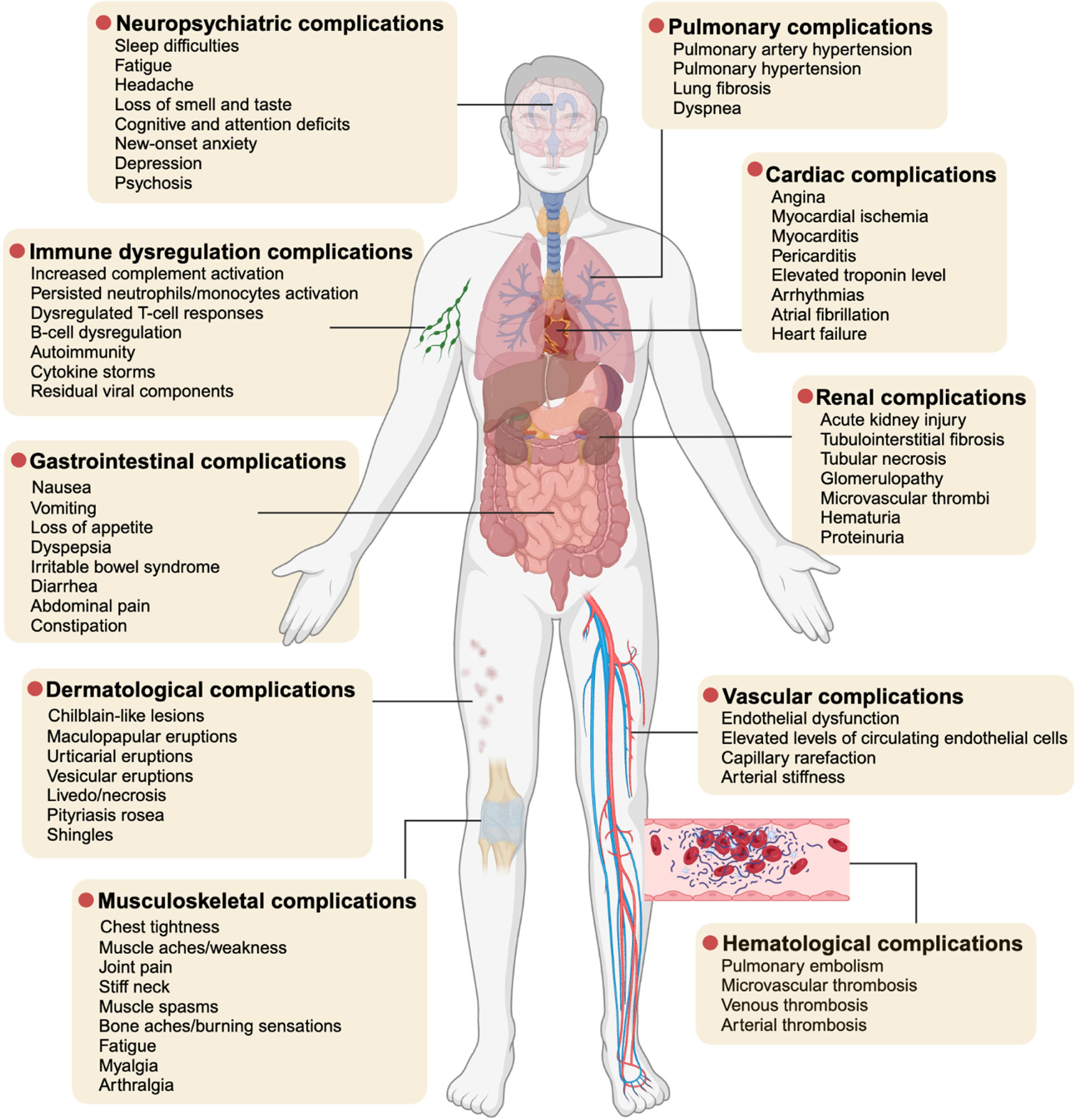 Epidemiology, Symptoms and Pathophysiology of Long Covid Complications.