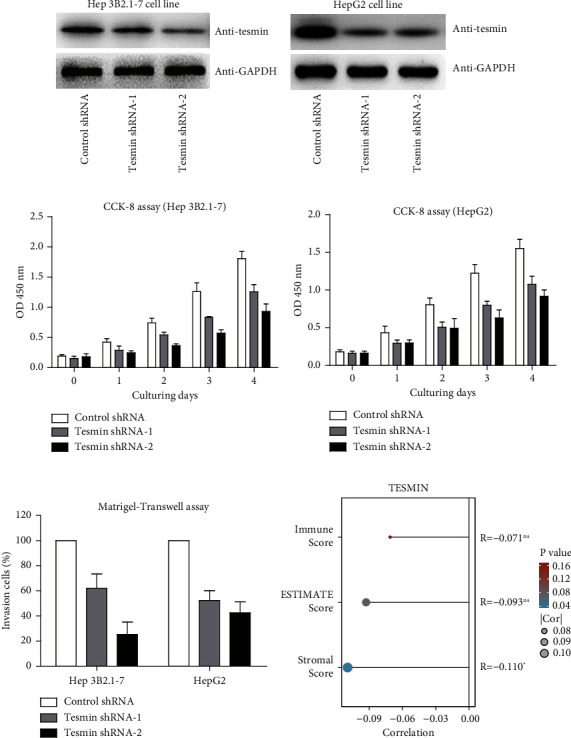 Clinical Significance and Functional Insights of Tesmin in Hepatocellular Carcinoma.