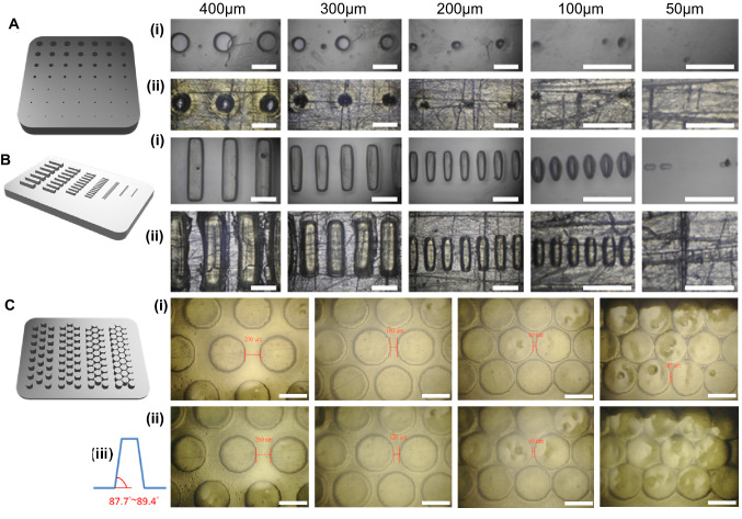 A 4D printed self-assembling PEGDA microscaffold fabricated by digital light processing for arthroscopic articular cartilage tissue engineering.