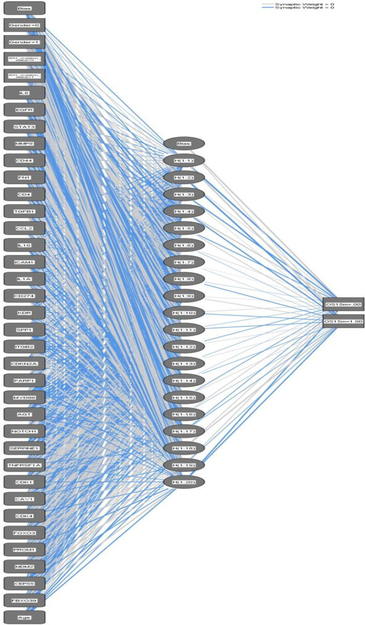 Predicting Survival in Glioblastoma Using Gene Expression Databases: A Neural Network Analysis.