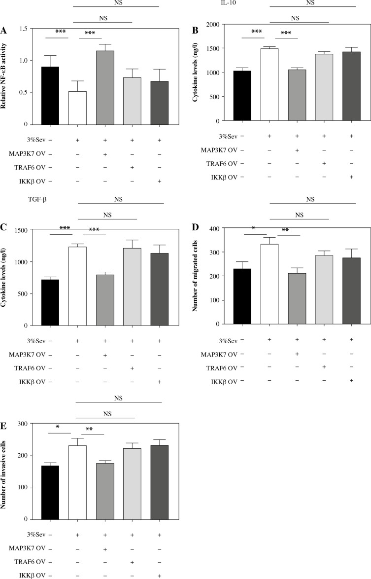 The N6-methyladenosine pattern of MAP3K7 mediates the effects of sevoflurane on macrophage M2 polarization and cervical cancer migration and invasion.