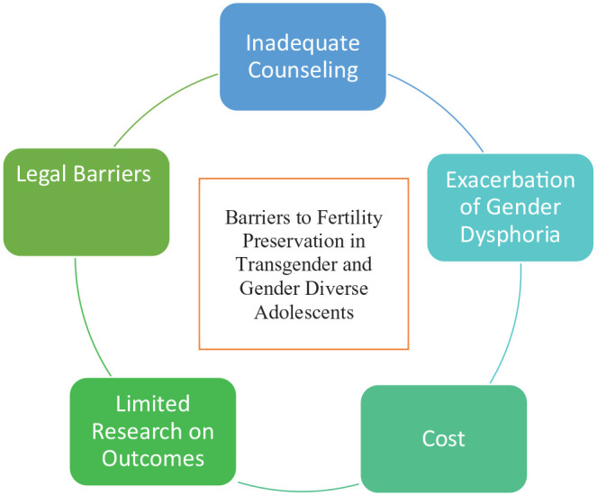 Barriers to fertility preservation access in transgender and gender diverse adolescents: a narrative review.
