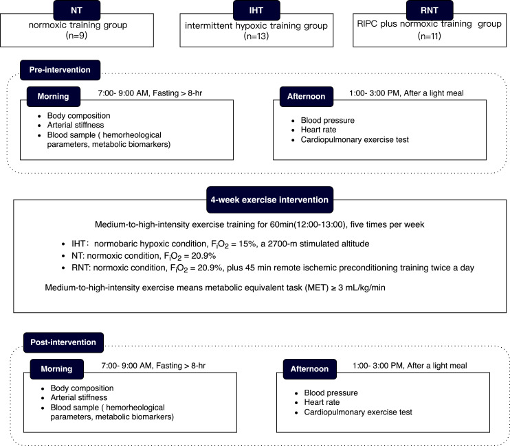 Helpful to Live Healthier? Intermittent Hypoxic/Ischemic Training Benefits Vascular Homeostasis and Lipid Metabolism with Activating SIRT1 Pathways in Overweight/Obese Individuals.