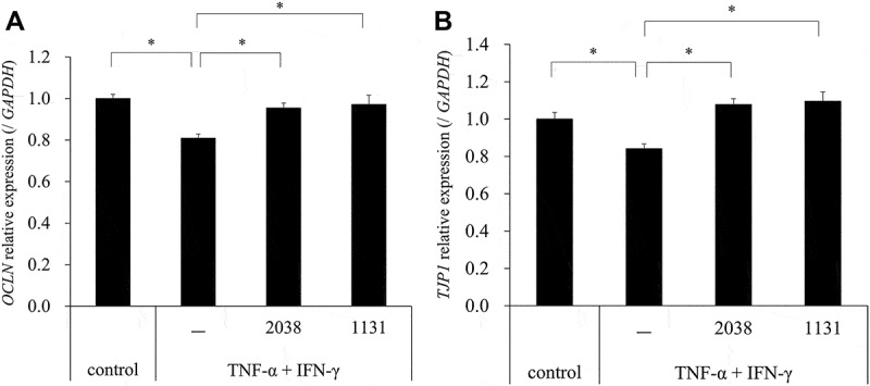 Yogurt starter strains ameliorate intestinal barrier dysfunction via activating AMPK in Caco-2 cells.
