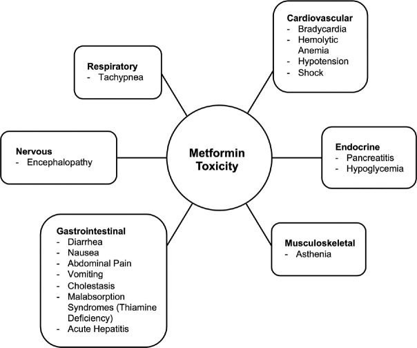 Metformin toxicity in the intensive care unit: A case series and review of the literature.