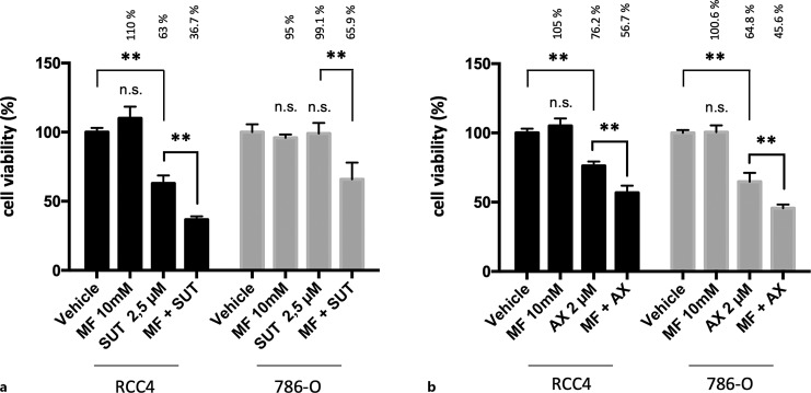 Metformin Regulates the miR-205/VEGFA Axis in Renal Cell Carcinoma Cells: Exploring a Clinical Synergism with Tyrosine Kinase Inhibitors.
