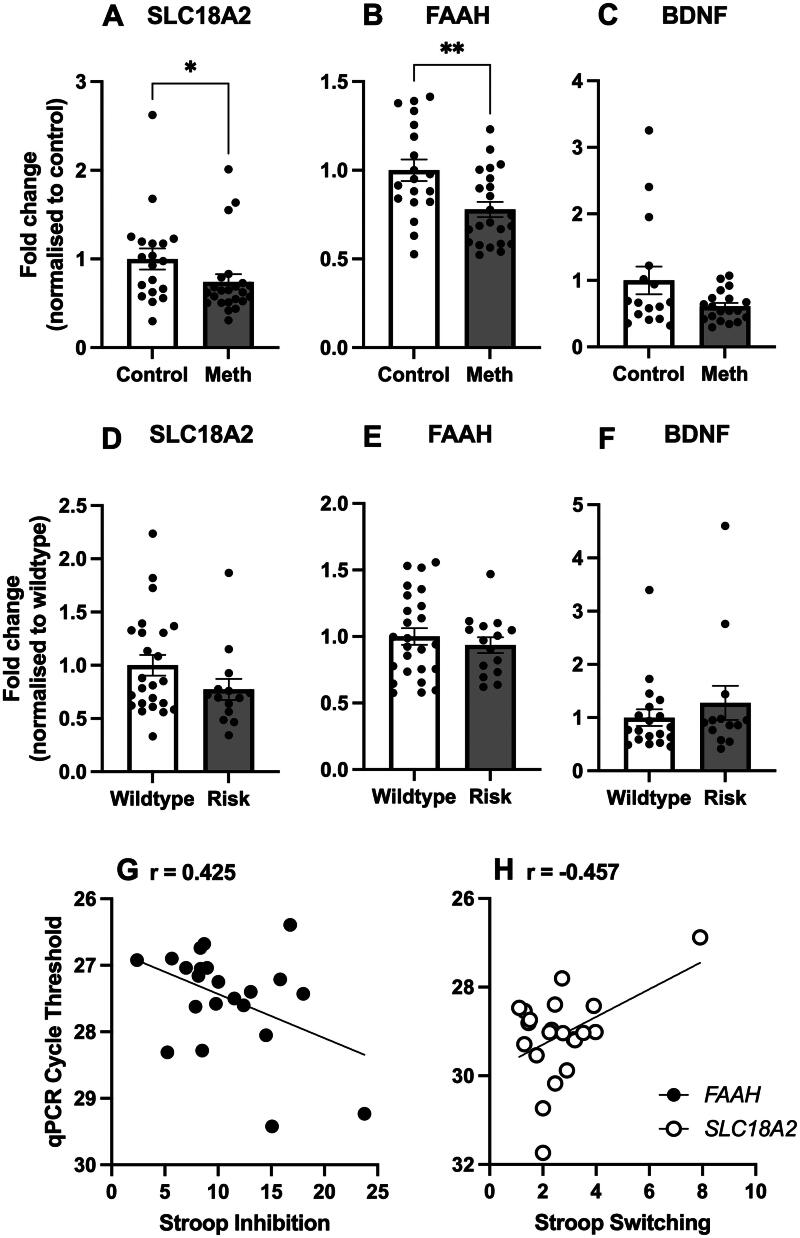 Associations between methamphetamine use disorder and <i>SLC18A1</i>, <i>SLC18A2</i>, <i>BDNF</i>, and <i>FAAH</i> gene sequence variants and expression levels.