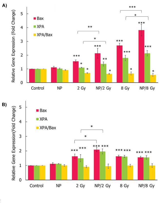 Efficient Induction of Apoptosis in Lung Cancer Cells Using Bismuth Sulfide Nanoparticles.