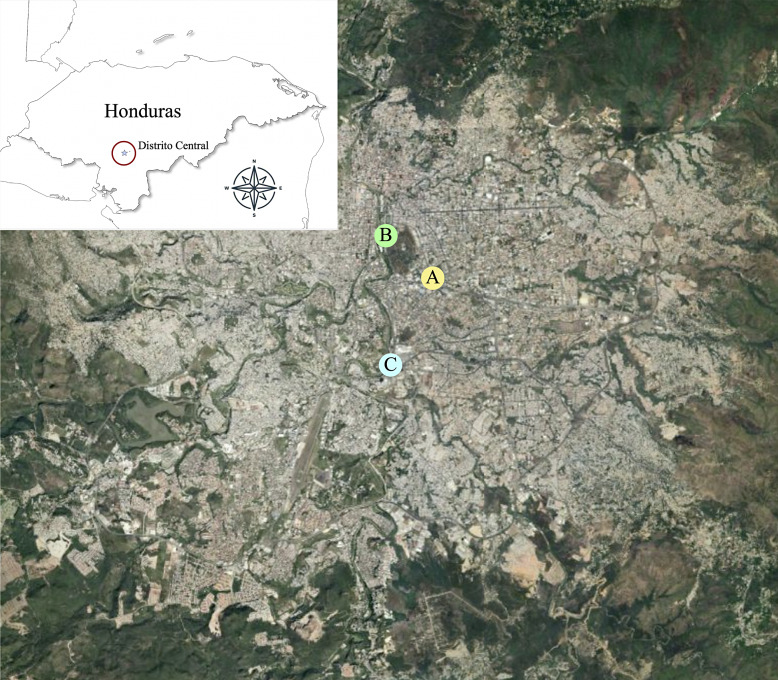 Molecular Characterization of Enteric Viruses Causing Acute Gastroenteritis among Children under 5 Years Old in Distrito Central, Honduras.