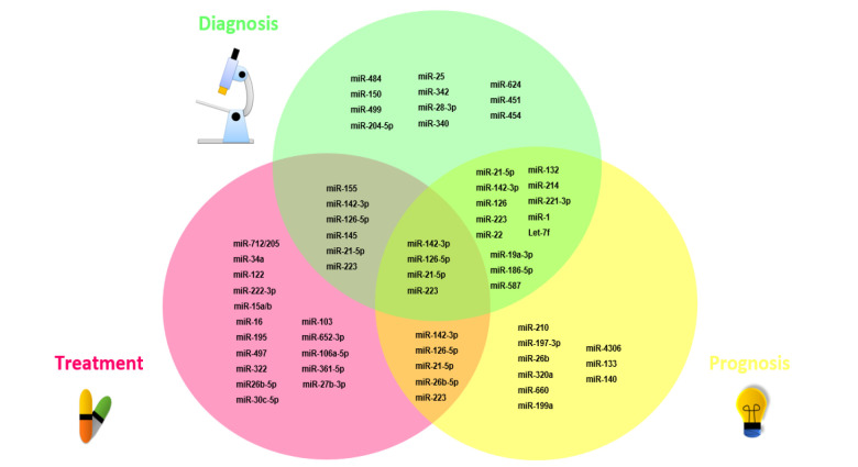 Platelet-enriched microRNAs as novel biomarkers in atherosclerotic and cardiovascular disease patients.