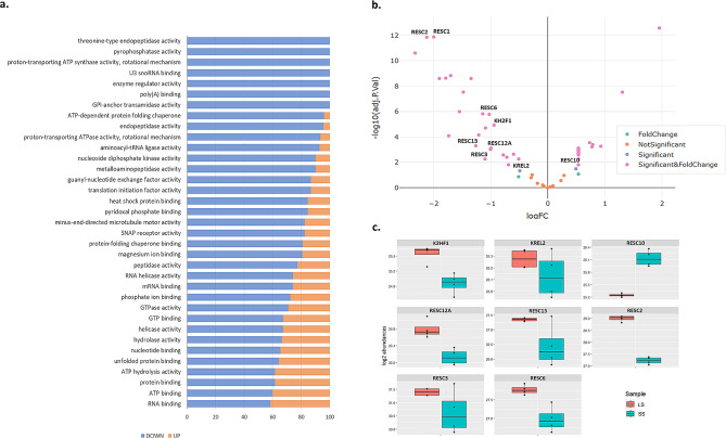 Prioritization of Trypanosoma brucei editosome protein interactions interfaces at residue resolution through proteome-scale network analysis.