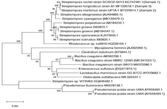 Evaluation of the Cytotoxicity of Secondary Bioactive Compounds Produced by <i>Streptomyces</i> in Soil against a Colon Cancer Cell Line.