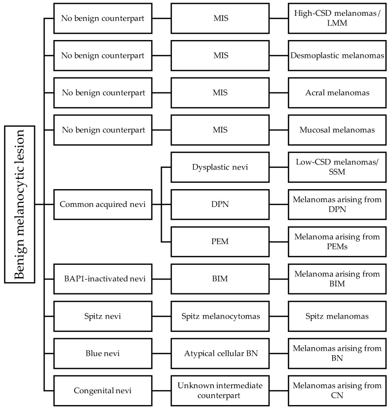 Diagnosing Cutaneous Melanocytic Tumors in the Molecular Era: Updates and Review of Literature.