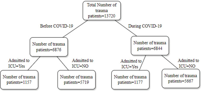 The Impact of COVID-19 on Trauma Emergency Patients in Southeastern Iran.