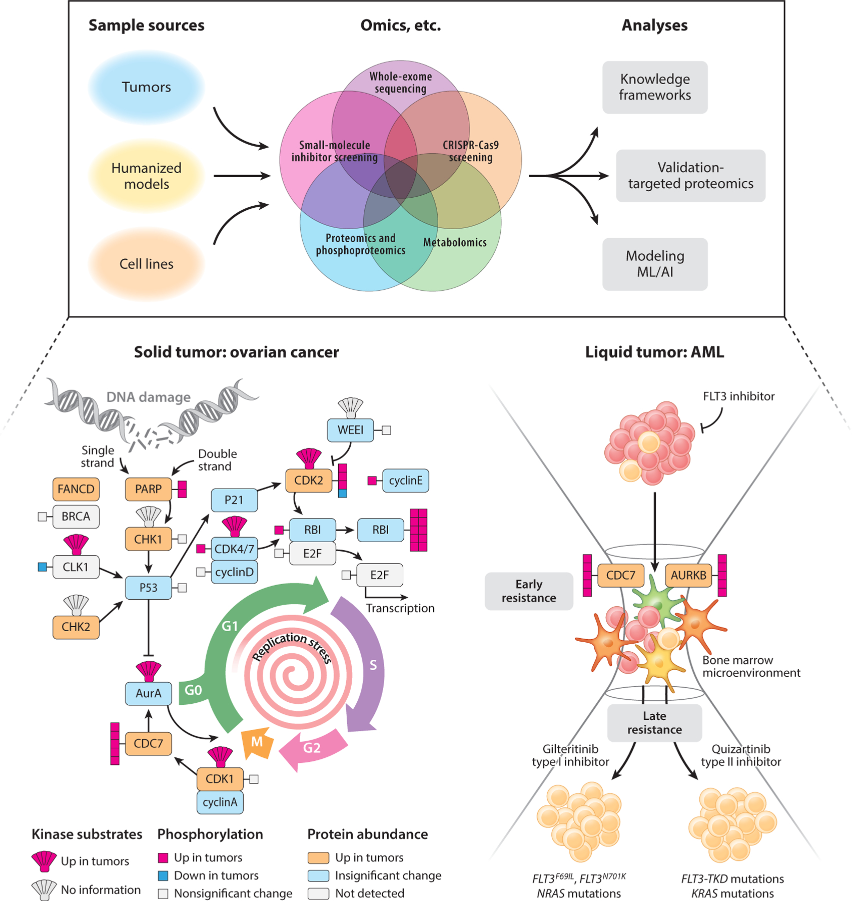 Mass Spectrometry-Based Proteogenomics: New Therapeutic Opportunities for Precision Medicine.