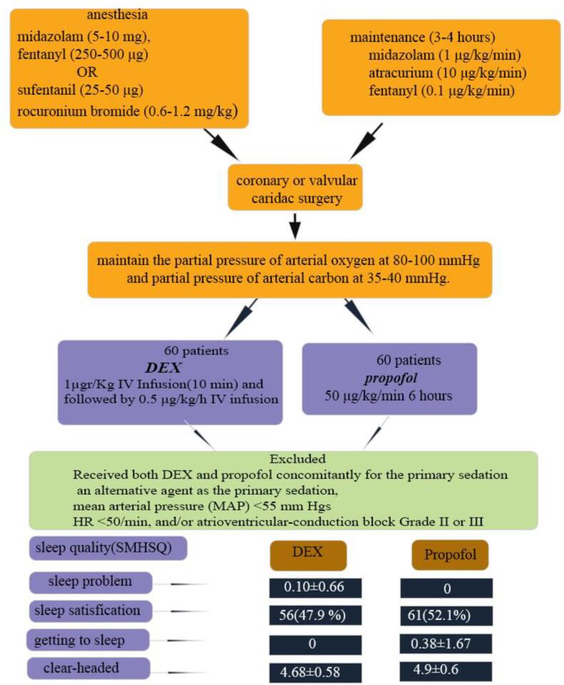 Comparing the effect of sedation with dexmedetomidine and propofol on sleep quality of patients after cardiac surgery: A randomized clinical trial.