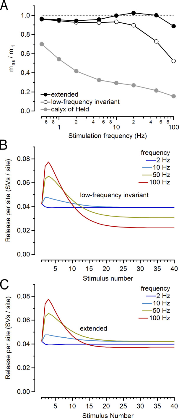 Interpretation of presynaptic phenotypes of synaptic plasticity in terms of a two-step priming process.