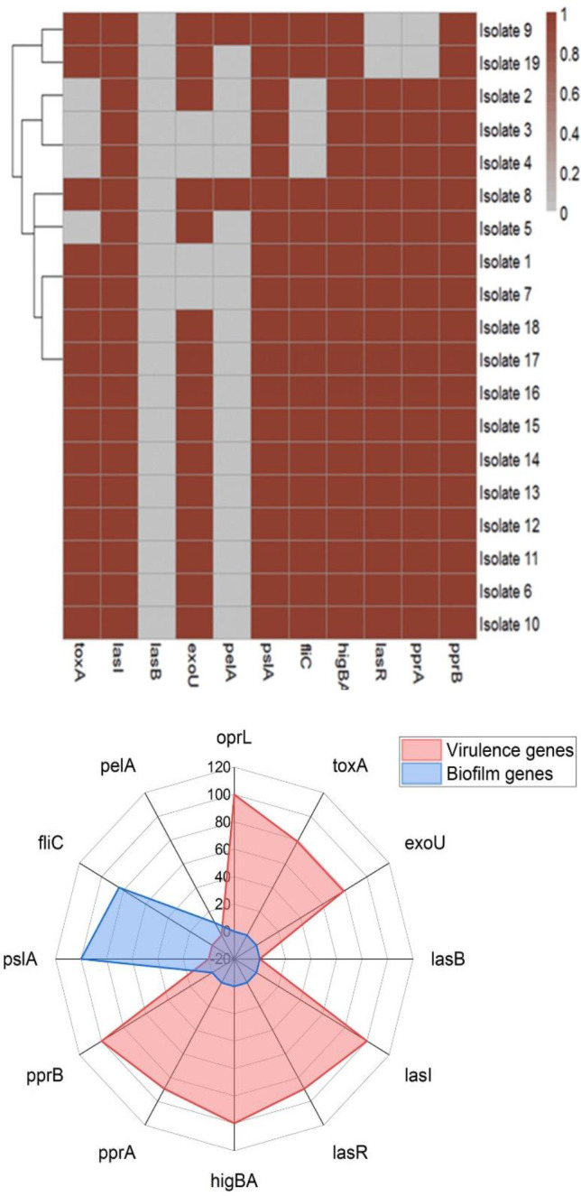 The impact of quorum sensing and biofilm formation on antimicrobial resistance and virulence of XDR and MDR <i>Pseudomonas aeruginosa</i> in laying chickens.