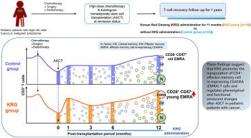 Effects of Korean red ginseng on T-cell repopulation after autologous hematopoietic stem cell transplantation in childhood cancer patients