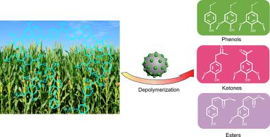 Hydrodepolymerization of lignin with Ni supported on active carbon catalysts reduced at different temperatures