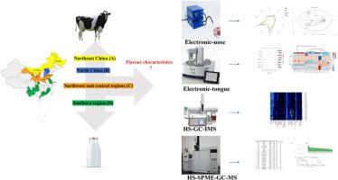 HS-GC-IMS and HS-SPME/GC-MS coupled with E-nose and E-tongue reveal the flavors of raw milk from different regions of China