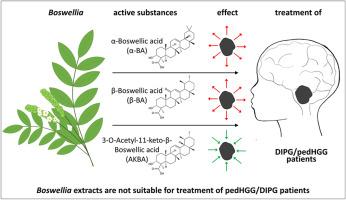 Boswellic acid formulations are not suitable for treatment of pediatric high-grade glioma due to tumor promoting potential