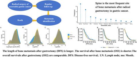 Bone metastasis is a late-onset and unfavorable event in survivors of gastric cancer after radical gastrectomy: Results from a clinical observational cohort