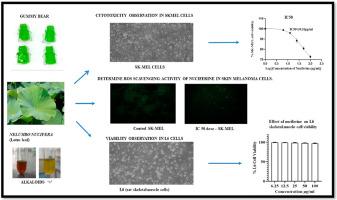 Development of gummy bear supplements and in vitro exploration of antioxidant and antiproliferative potential of Nuciferine