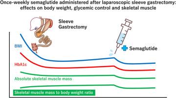 Once-weekly semaglutide administered after laparoscopic sleeve gastrectomy: Effects on body weight, glycemic control, and measured nutritional metrics in Japanese patients having both obesity and type 2 diabetes