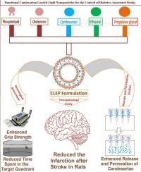 Functional candesartan loaded lipid nanoparticles for the control of diabetes-associated stroke: In vitro and in vivo studies