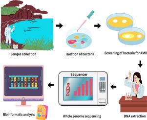 Genomic investigation unveils high-risk ESBL producing Enterobacteriaceae within a rural environmental water body