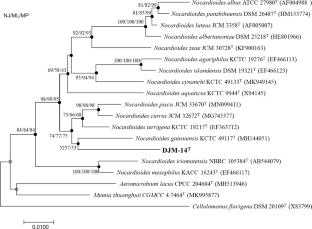 Nocardioides limicola sp. nov., an alkaliphilic alkane degrading bacterium isolated from oilfield alkali-saline soil