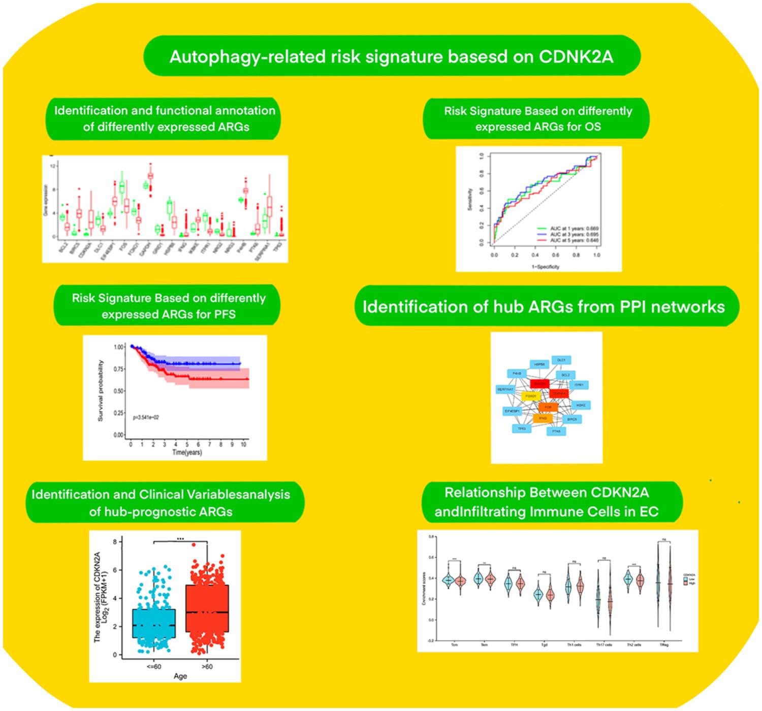 Autophagy-related risk signature based on CDNK2A to facilitate survival prediction of patients with endometrial cancer