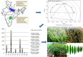 Differential responses of genotype × environment interaction on Agronomic interventions affect the yield and quality of essential oil of interspecific basil hybrid of Ocimum basilicum L. × Ocimum kilimandscharicum