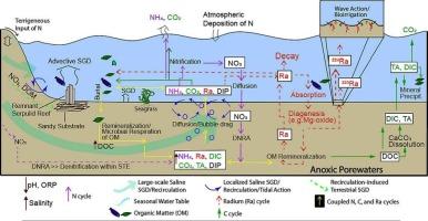 Nitrogen and carbon cycling and relationships to radium behavior in porewater and surface water: Insight from a dry year sampling in a hypersaline estuary