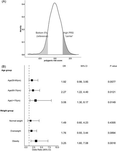 Genome-wide polygenic risk score for rheumatoid arthritis prediction in postmenopausal women