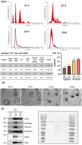 Extracellular vesicle biogenesis of three-dimensional human pluripotent stem cells in a novel Vertical-Wheel bioreactor