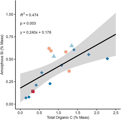 The Role of Coastal Yedoma Deposits and Continental Shelf Sediments in the Arctic Ocean Silicon Cycle