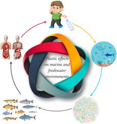 Plastic effects on marine and freshwater environments