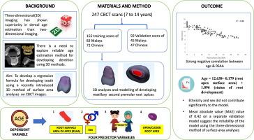 Three-dimensional surface area analyses of developing maxillary second premolar root apices for age estimation using CBCT images