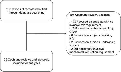 Mechanical ventilation core outcome set uptake in Cochrane systematic reviews: A cross-sectional study