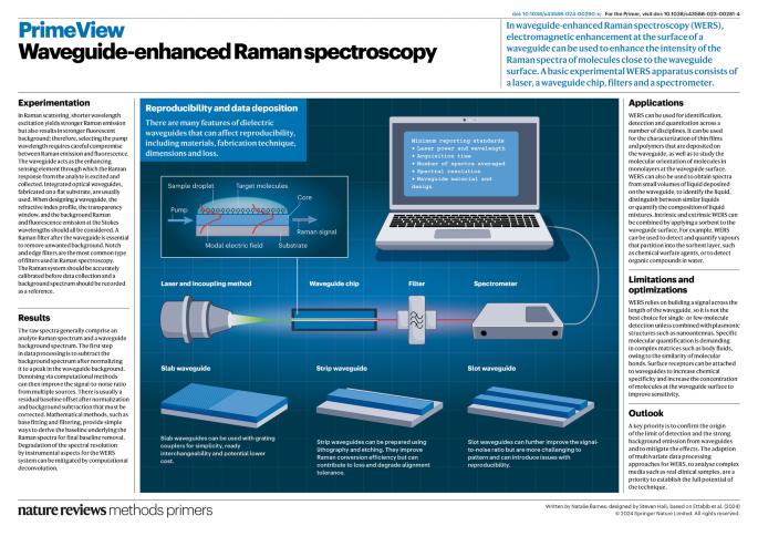 Waveguide-enhanced Raman spectroscopy