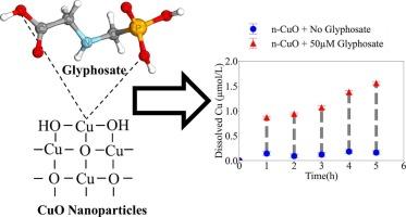 Dissolution kinetics of copper oxide nanoparticles in presence of glyphosate